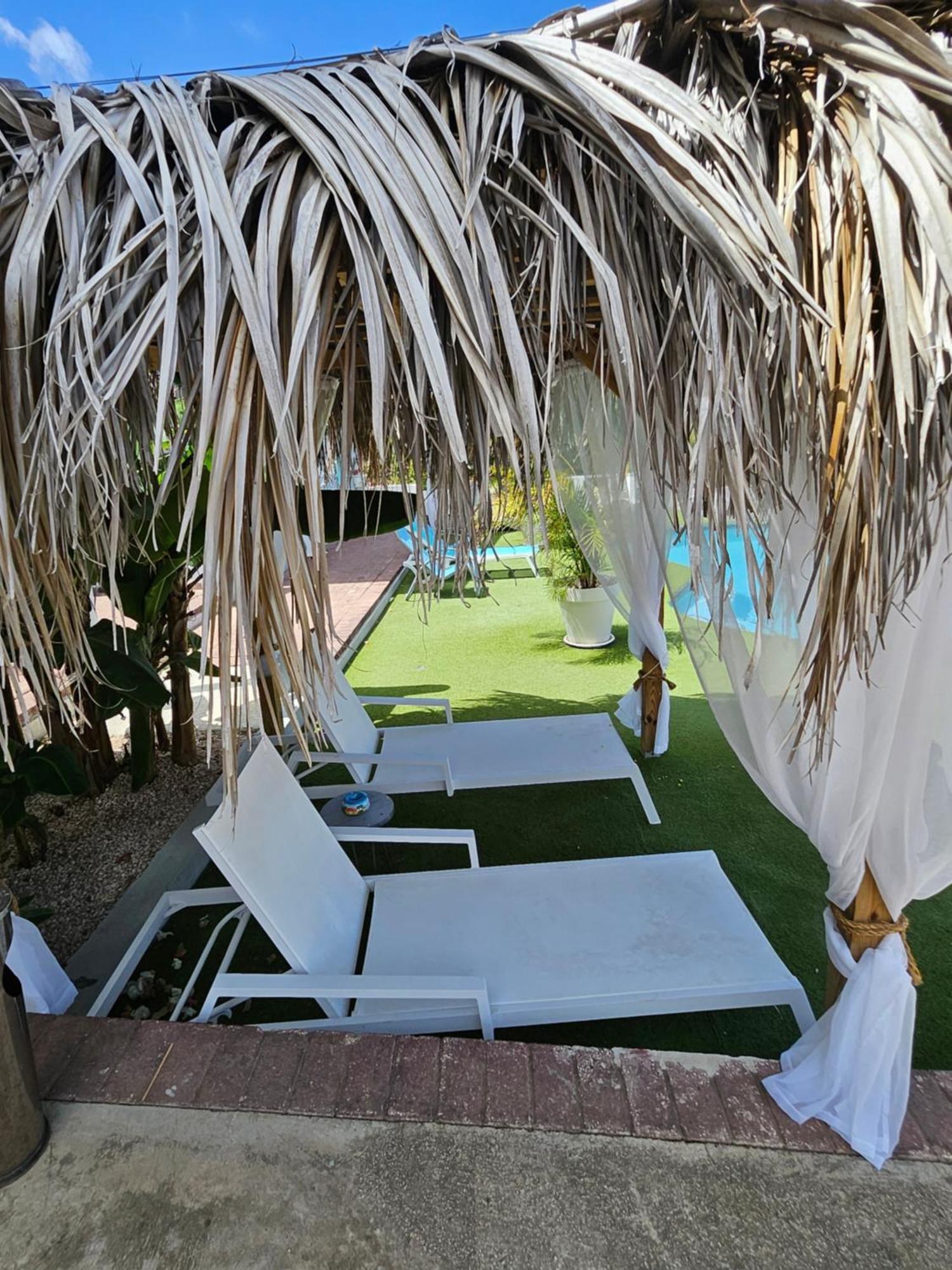 Villa Raven'S Paradise Willemstad Zewnętrze zdjęcie
